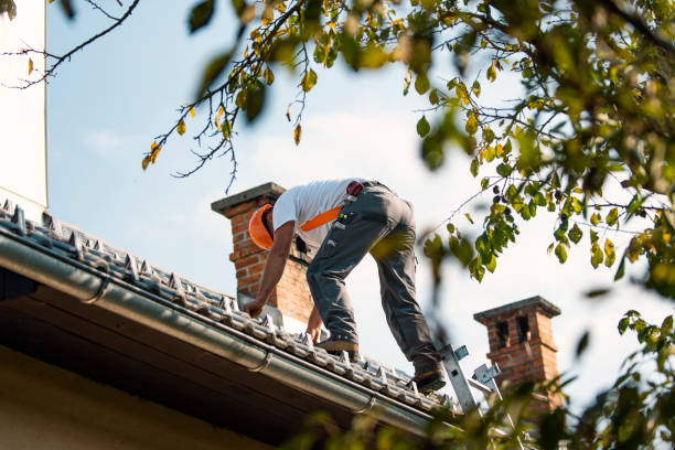 Best Roof Ventilation Installation  in Casa Blanca, AZ