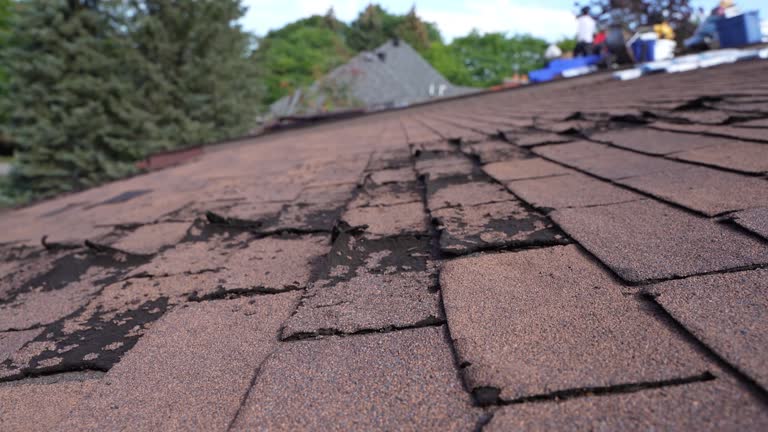 Best Roof Leak Repair  in Casa Blanca, AZ