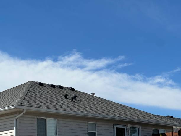 Best Solar Panel Roofing Installation  in Casa Blanca, AZ